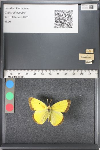 Media type: image;   Entomology 123872
